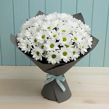 Букет цветов из:  Хризантемы #REPLACE_PRED# Орлово