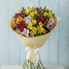 Букет цветов из:  Альстромерии #REPLACE_PRED# Орлово